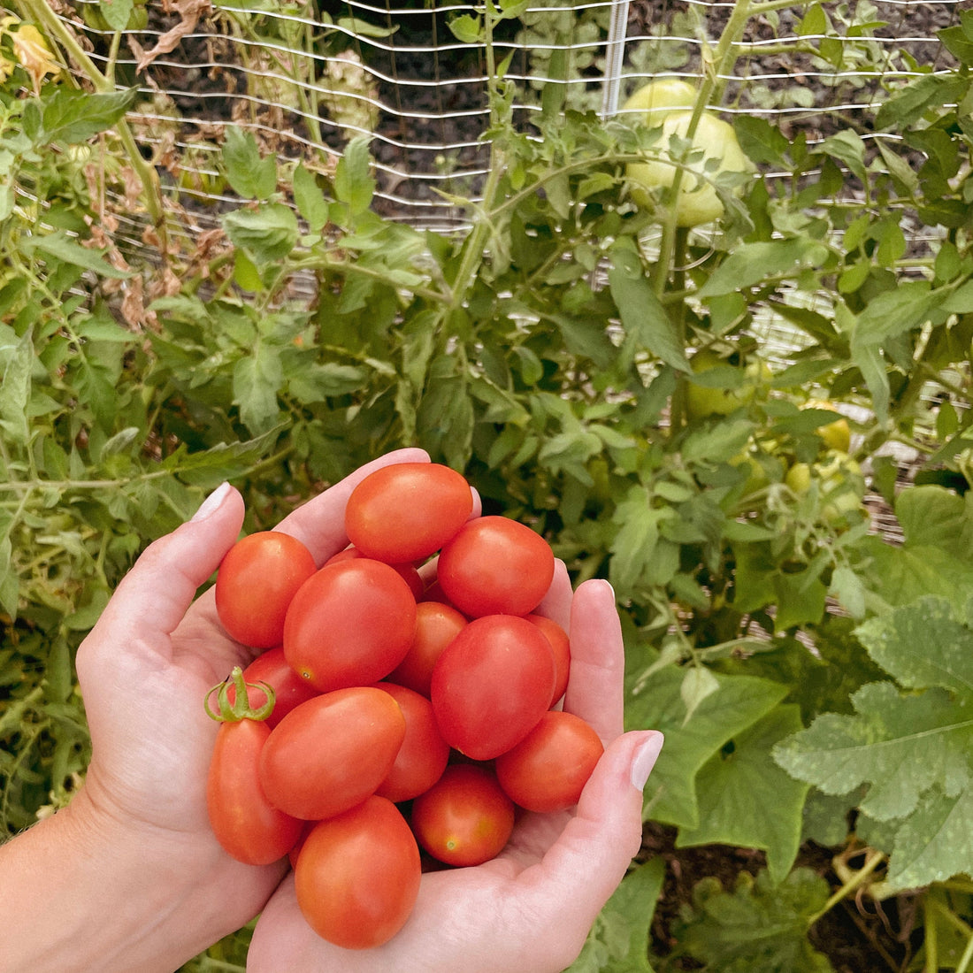 How to Have a 90’s Summer as a Grown Woman